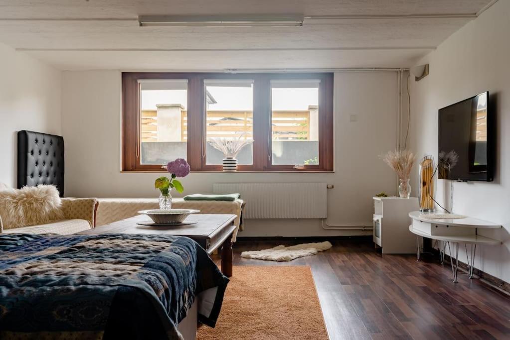 Kattarp Cellar Free Parking & Private Entrance * Malmo
